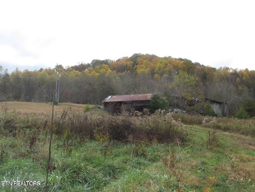 5194 Jones Cove Road Cosby, TN 37722 - Photo 4 of 6 Jones Cove 7