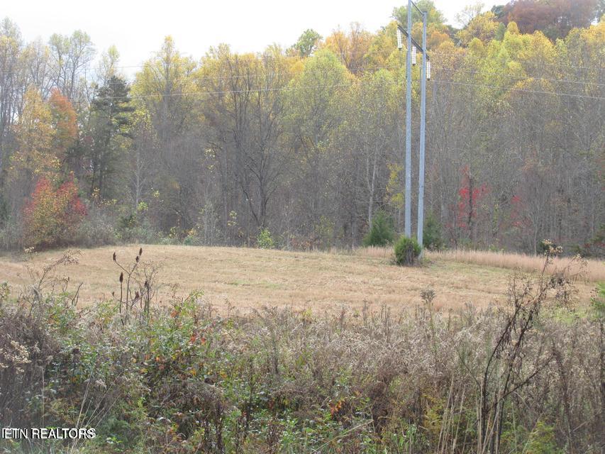 5194 Jones Cove Road Cosby, TN 37722 - Photo 5 of 6 Jones Cove 5