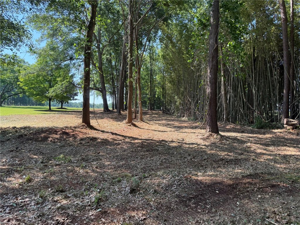 Discover a tranquil forest setting with a cleared path, offering a serene backdrop for your dream property.