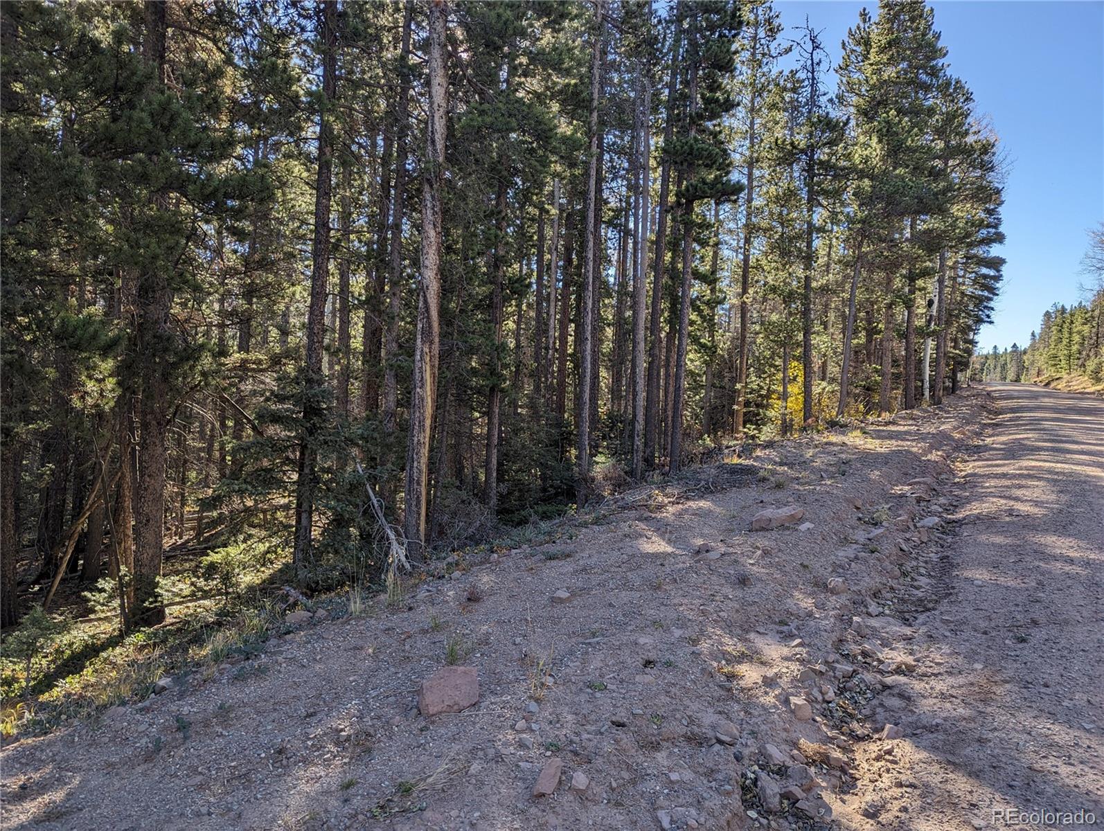 3067 Forbes Park Road Fort Garland, CO 81133 - Photo 11 of 12 a view of a forest with trees