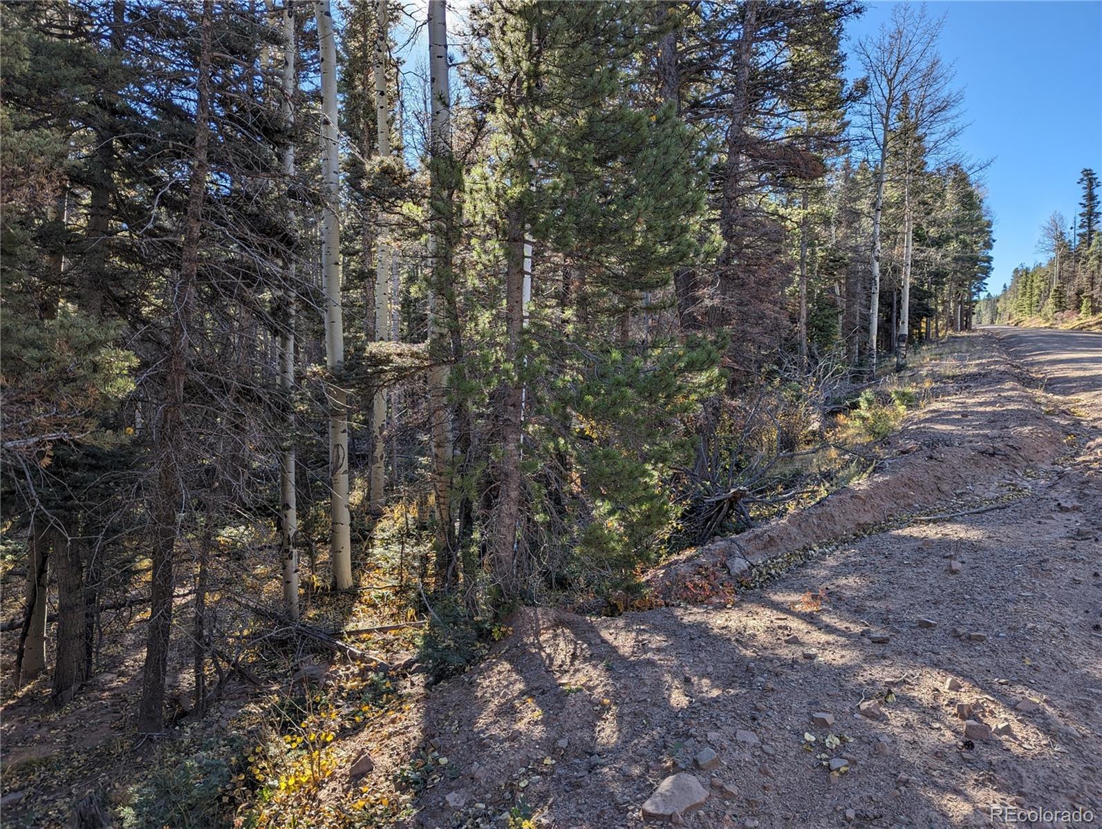 3067 Forbes Park Road Fort Garland, CO 81133 - Photo 12 of 12 a view of forest