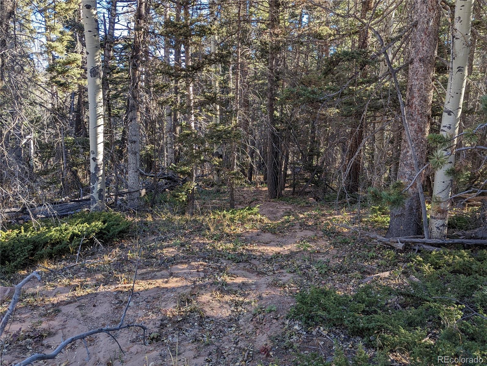 3067 Forbes Park Road Fort Garland, CO 81133 - Photo 2 of 12 a view of backyard with green space