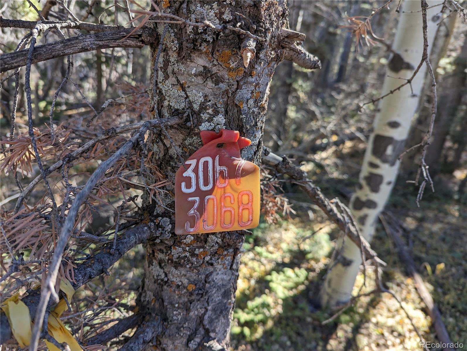 3067 Forbes Park Road Fort Garland, CO 81133 - Photo 7 of 12 a sign that is on a tree