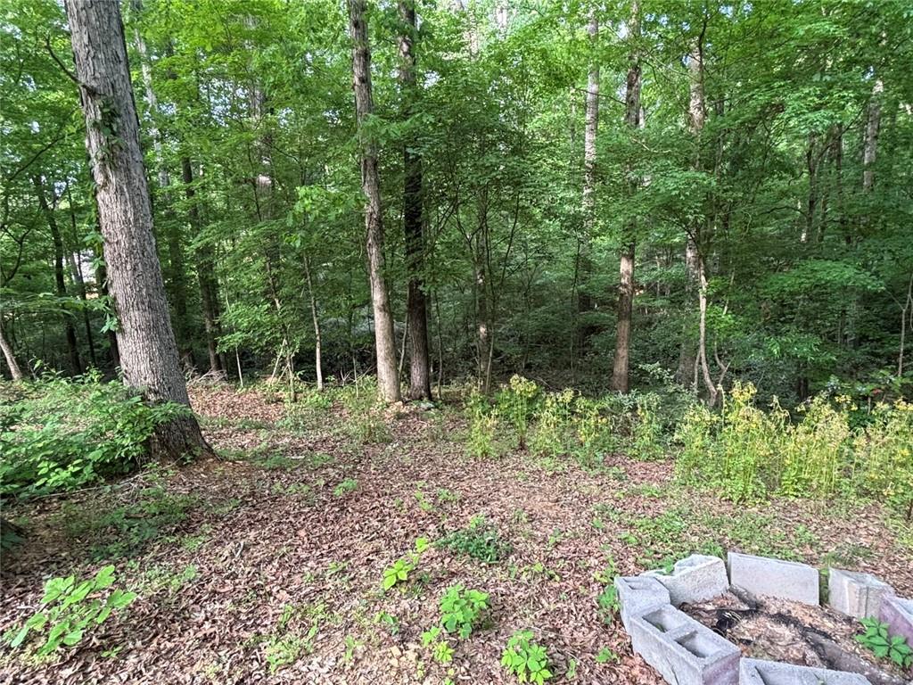 183 Barker Road Southwest Rome, GA 30165 - Photo 10 of 75 a garden view with a seating space