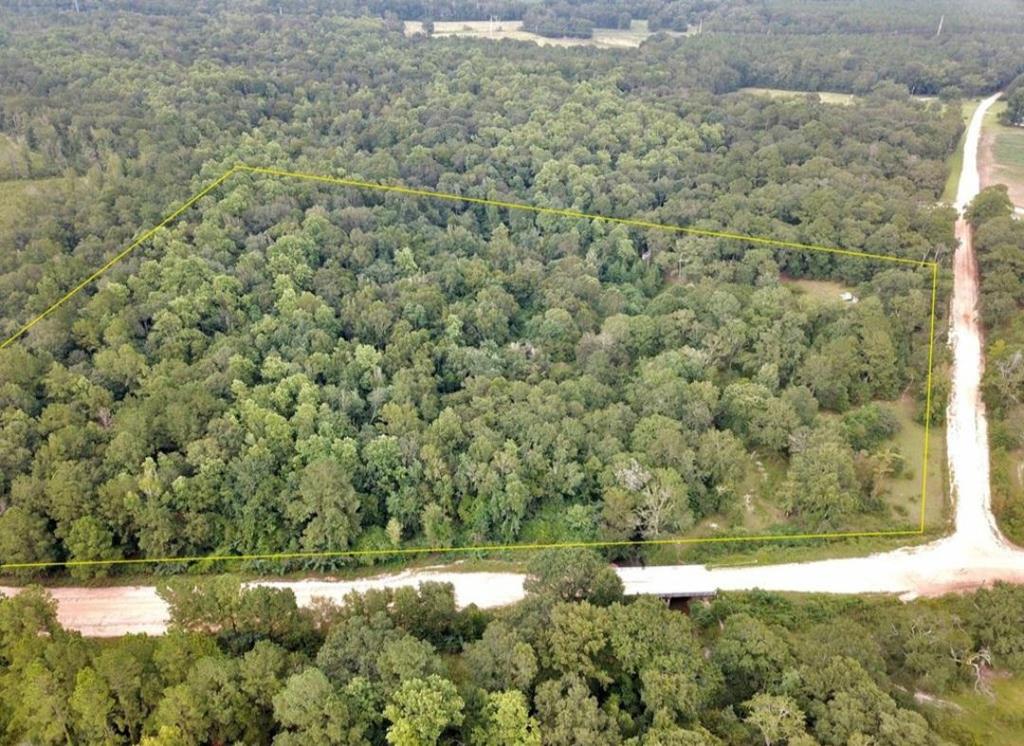 0 Wright Road Daleville, AL 36322 - Photo 1 of 8 Main View