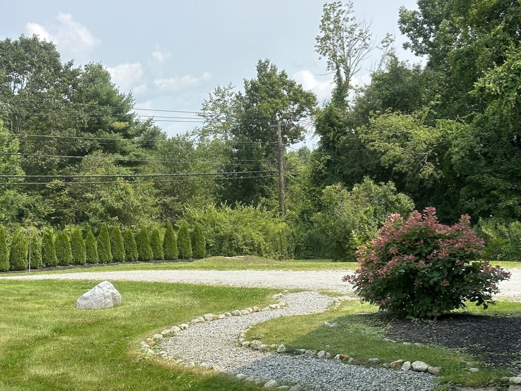 1828 East Otis Road Otis, MA 01029 - Photo 20 of 24 a view of a backyard