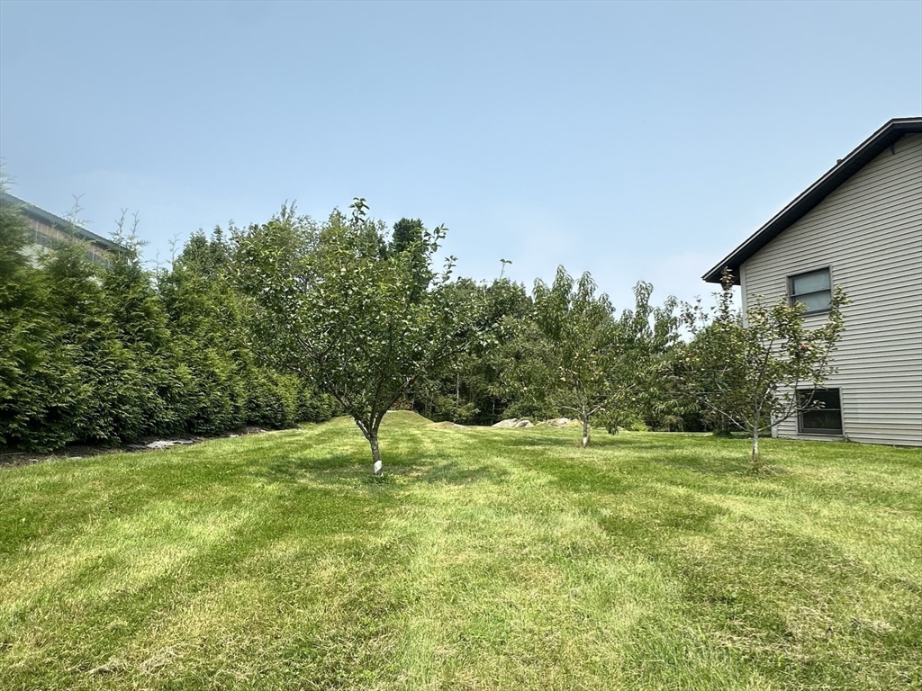 1828 East Otis Road Otis, MA 01029 - Photo 22 of 25 a backyard of a house with lots of green space