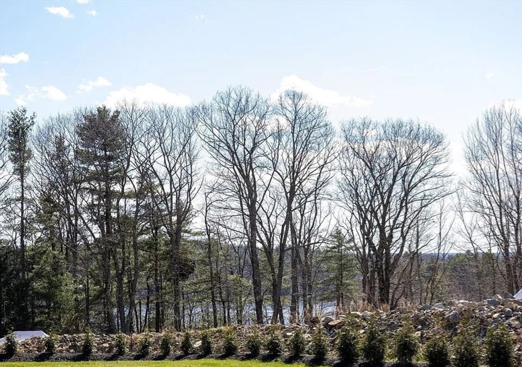 1828 East Otis Road Otis, MA 01029 - Photo 24 of 25 a view of a city with lots of trees