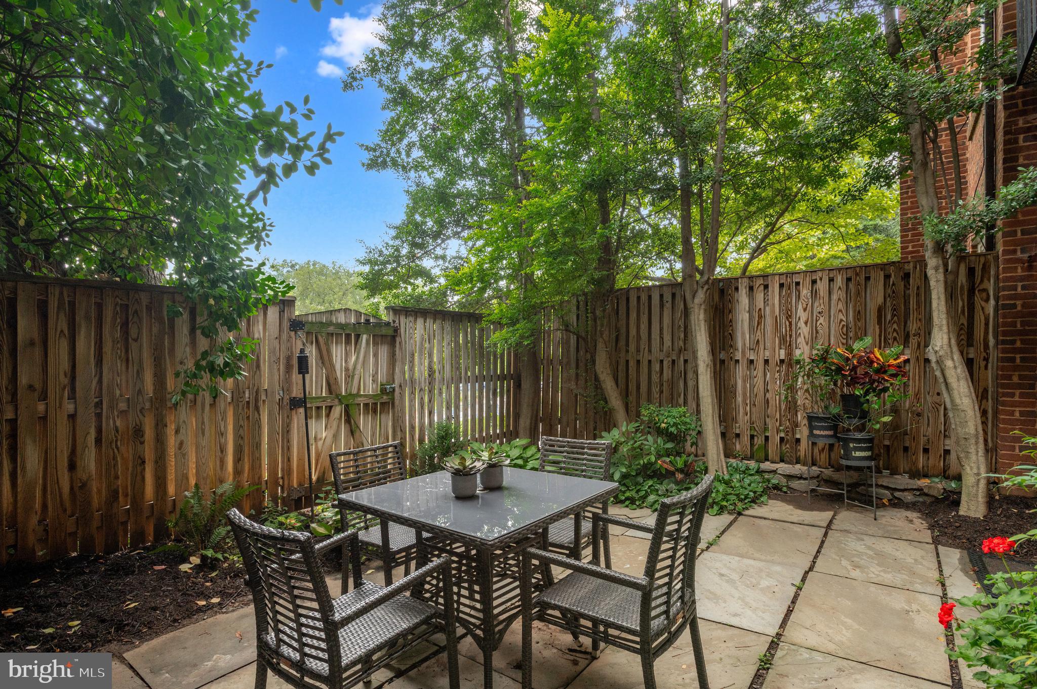 3729 Winfield Lane Northwest Washington, DC 20007 - Photo 20 of 22 a view of backyard with table and chairs and a large tree