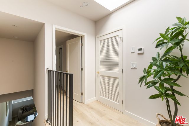a potted plant sitting in front of a window