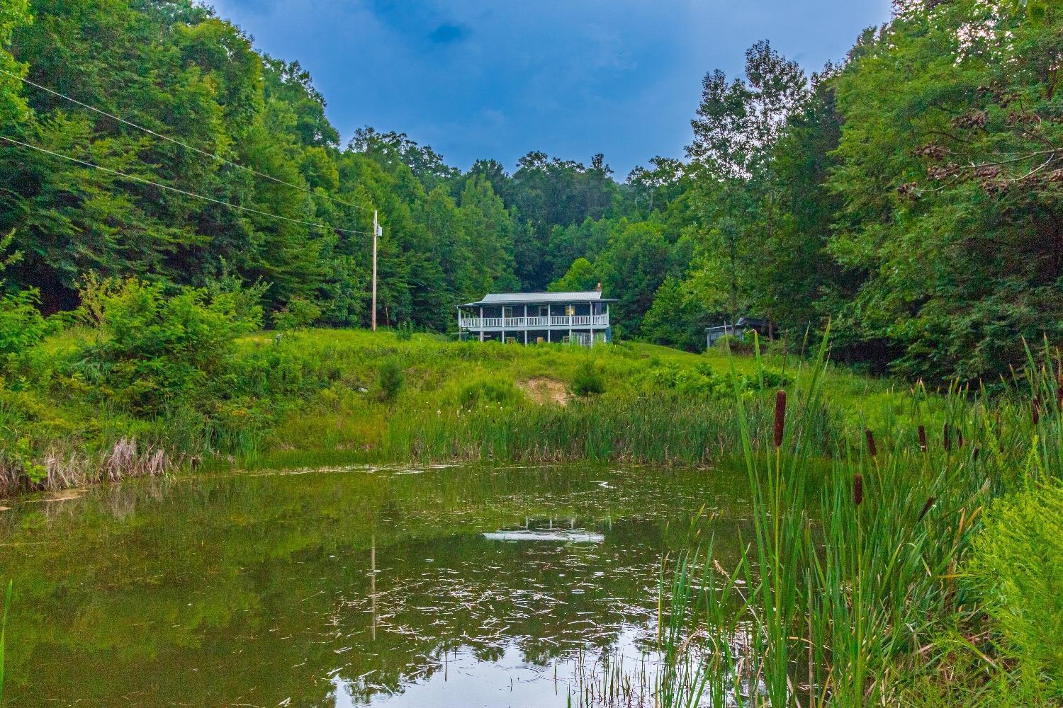 1160 Tracy Run Road Stout, OH 45684 - Photo 12 of 50 Gallery Image 12