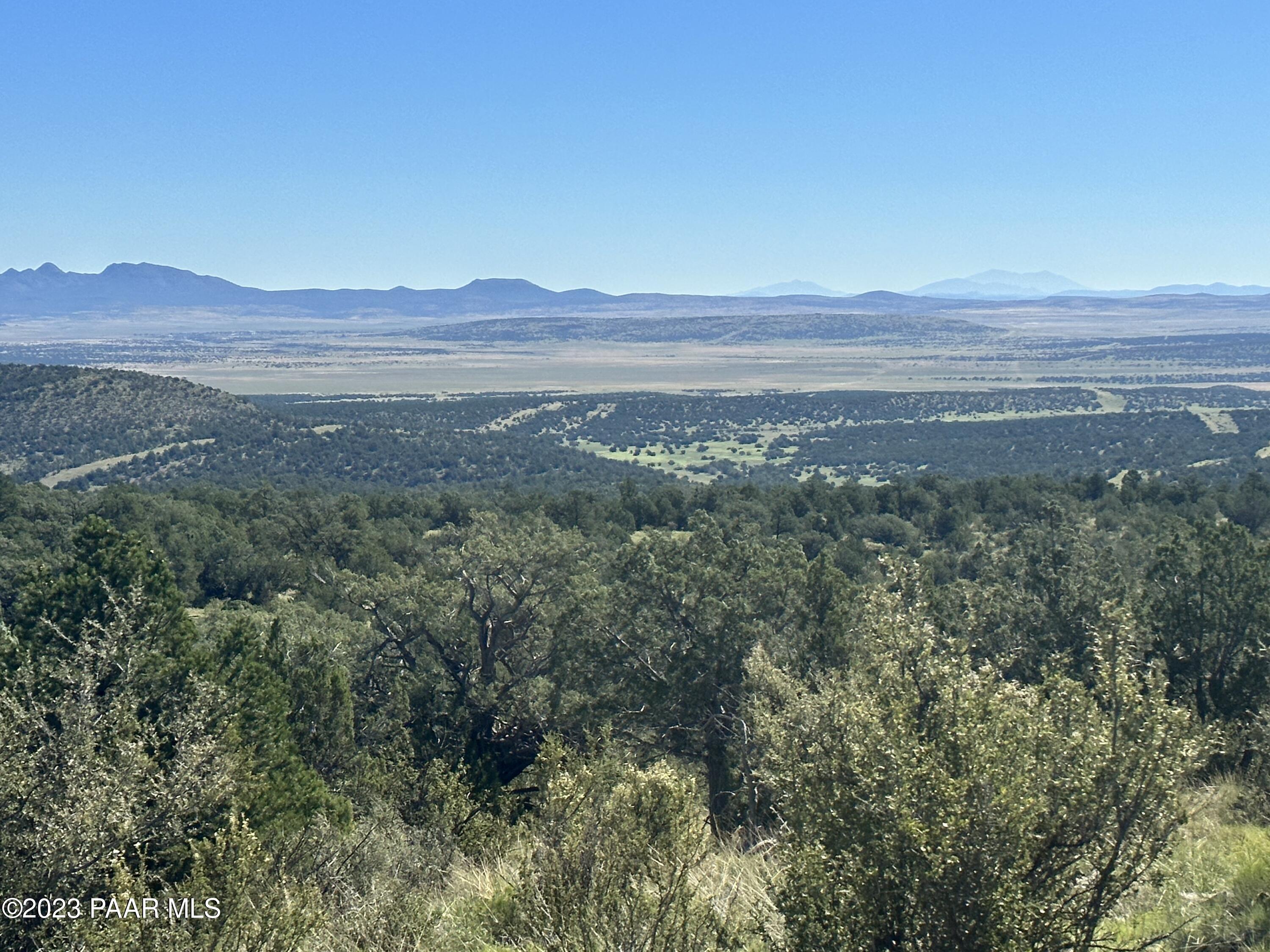 50599 North Lightning Ridge Road Seligman, AZ 86337 - Photo 1 of 24 IMG_0775