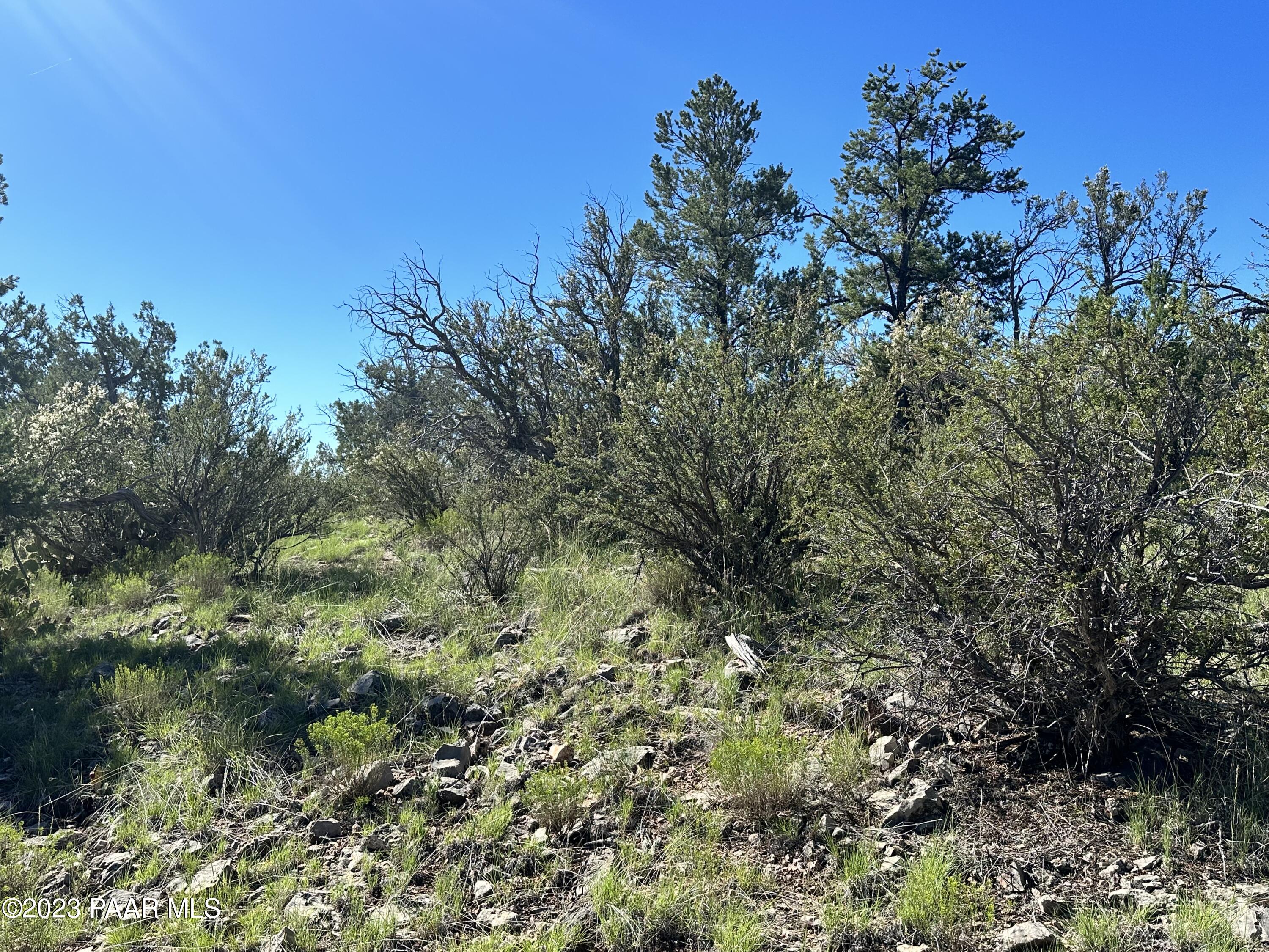 50599 North Lightning Ridge Road Seligman, AZ 86337 - Photo 13 of 24 IMG_0781
