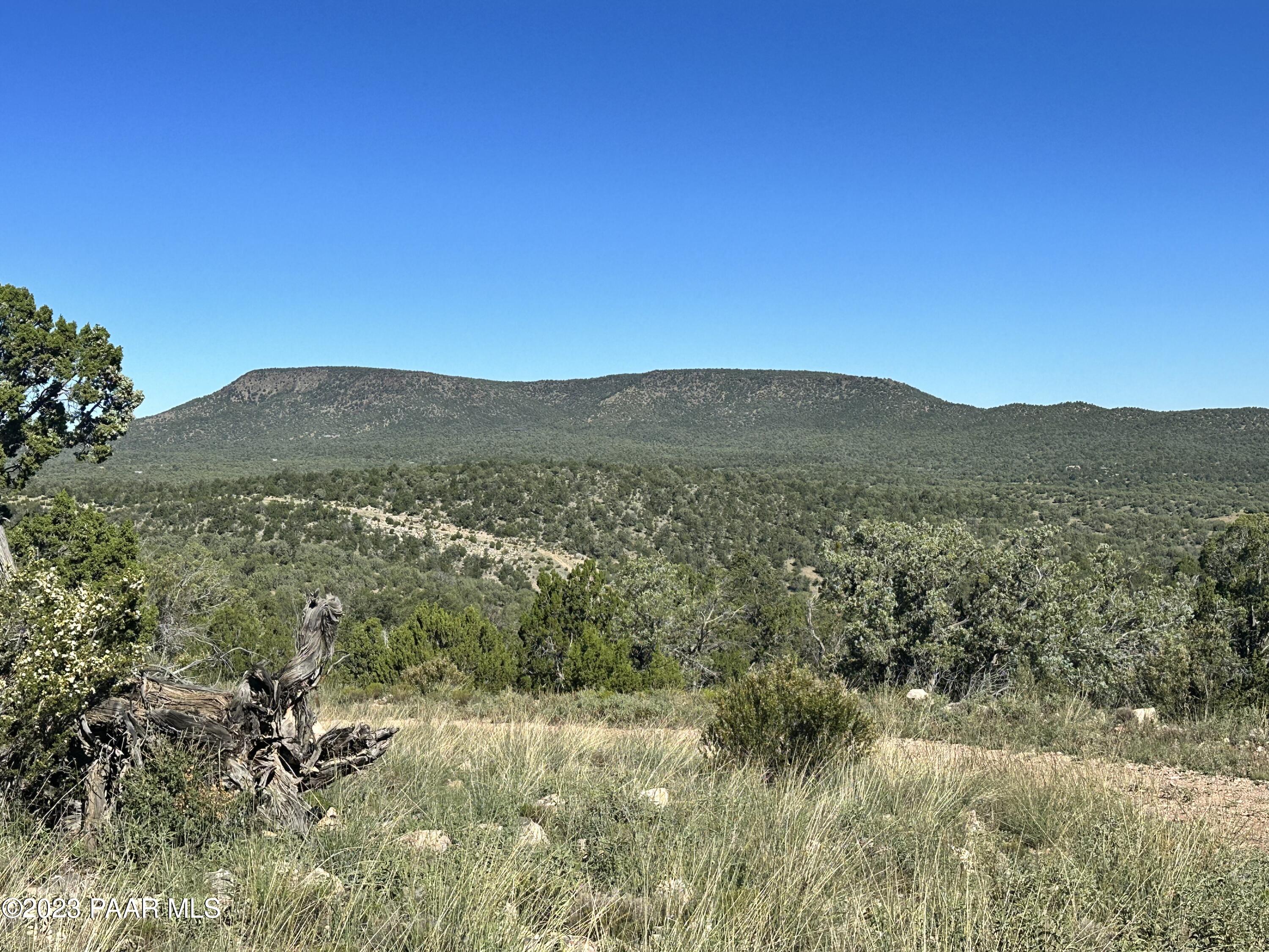 50599 North Lightning Ridge Road Seligman, AZ 86337 - Photo 16 of 24 IMG_0786