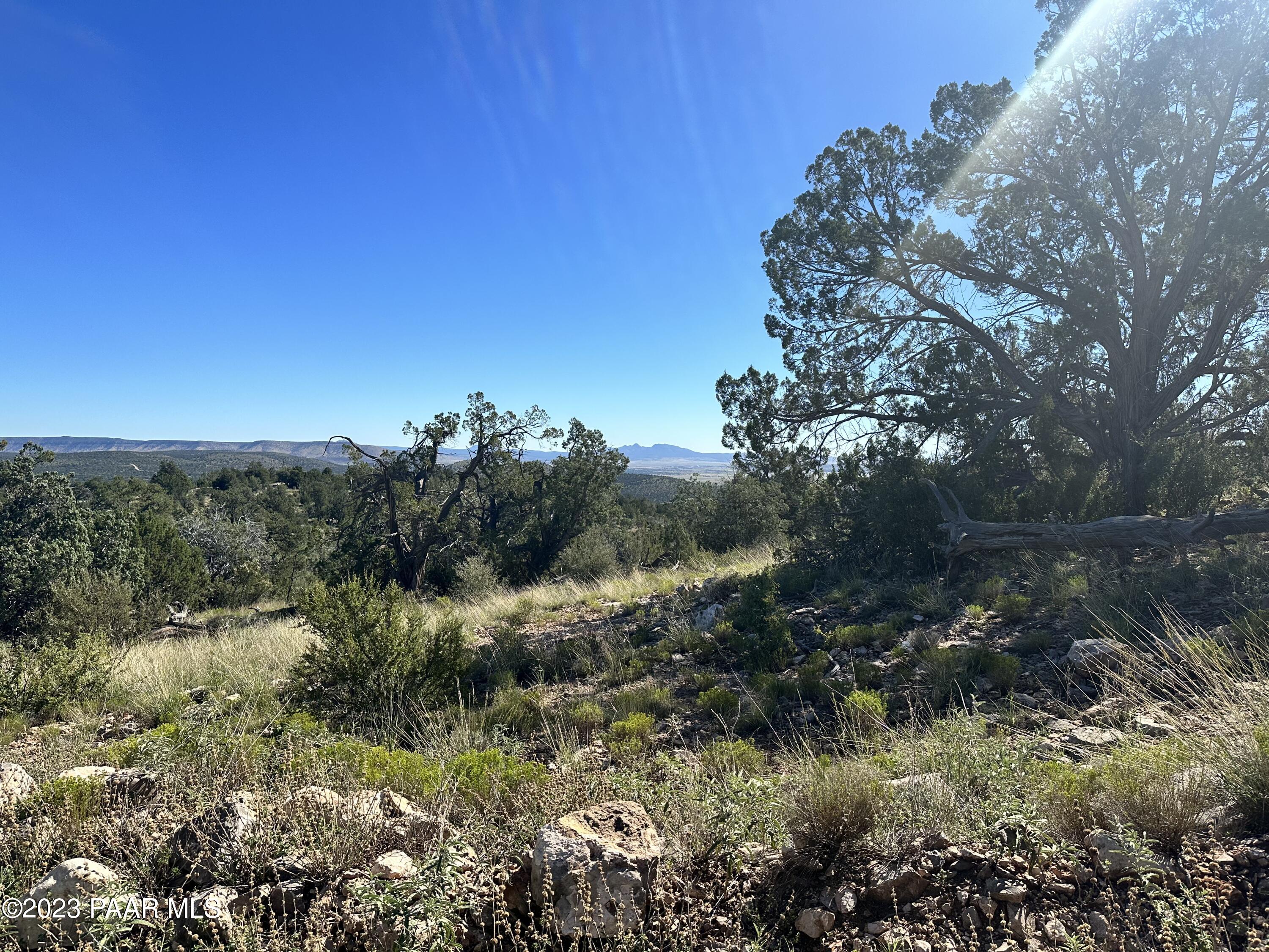 50599 North Lightning Ridge Road Seligman, AZ 86337 - Photo 17 of 24 IMG_0787