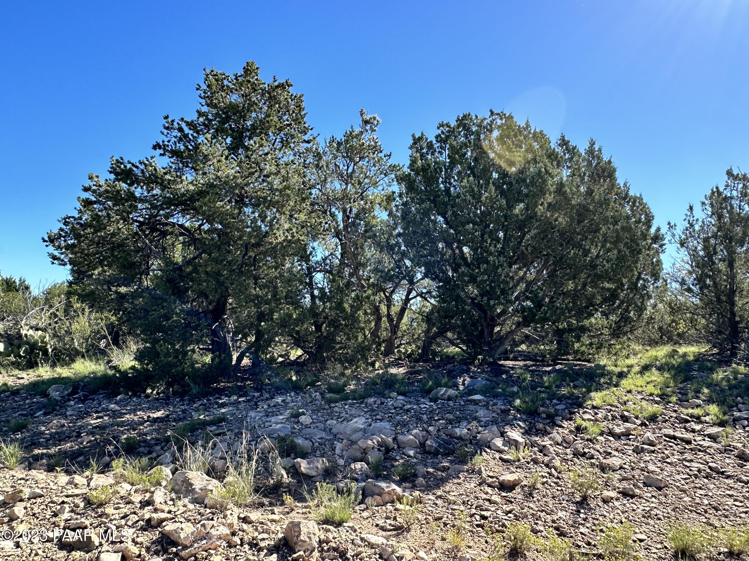 50599 North Lightning Ridge Road Seligman, AZ 86337 - Photo 18 of 24 IMG_0790