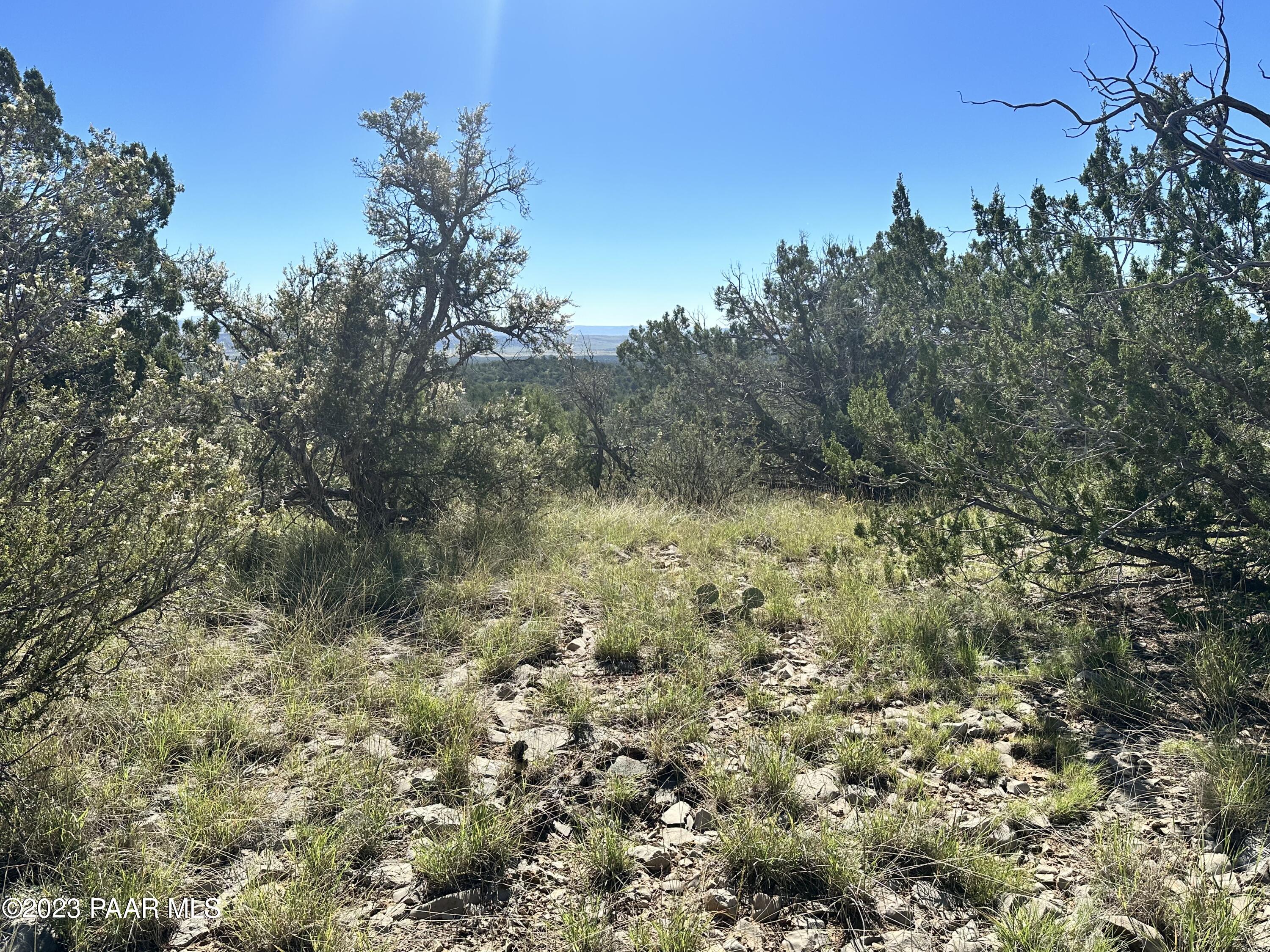 50599 North Lightning Ridge Road Seligman, AZ 86337 - Photo 19 of 24 IMG_0792