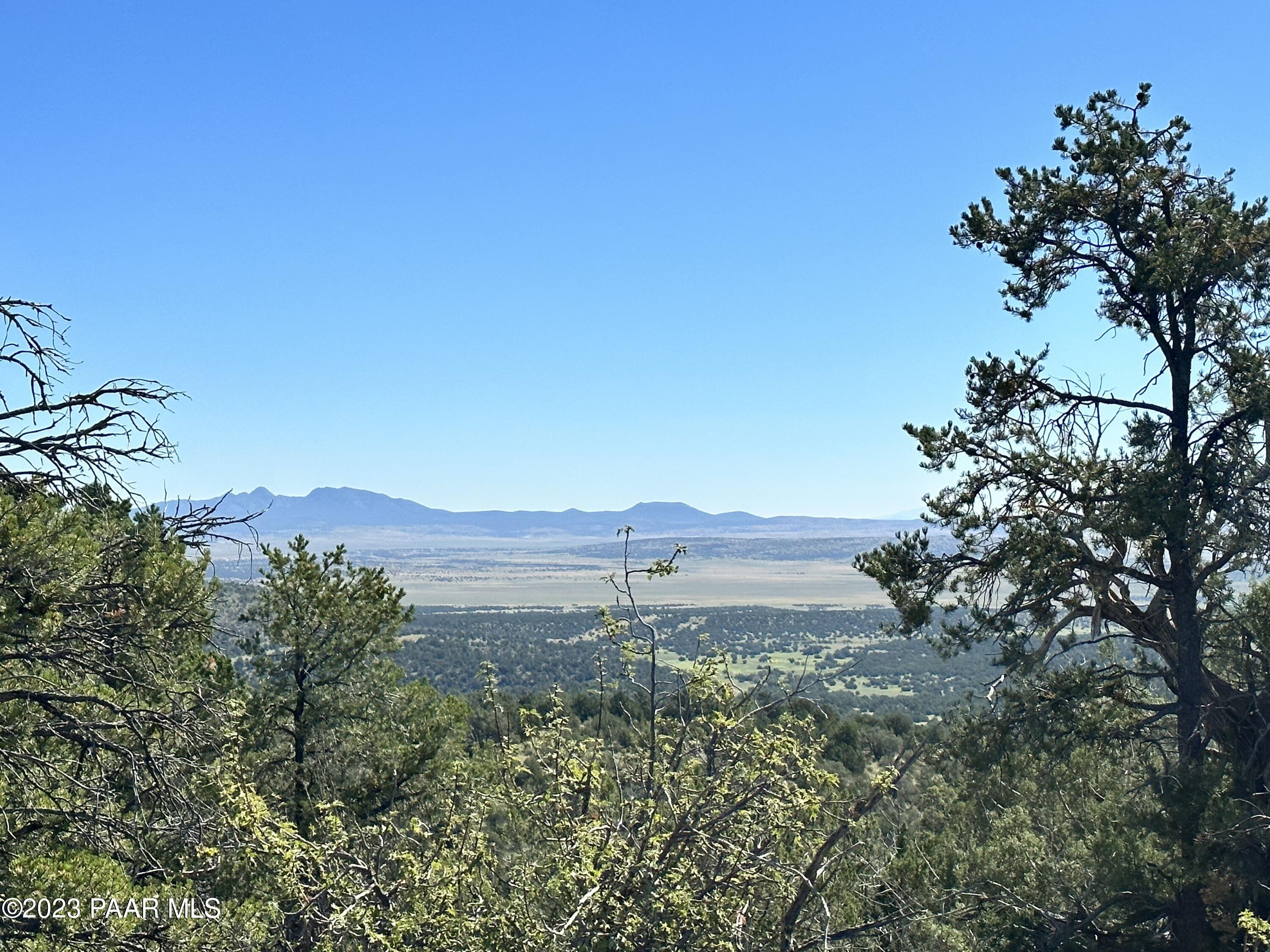 50599 North Lightning Ridge Road Seligman, AZ 86337 - Photo 5 of 24 IMG_0762