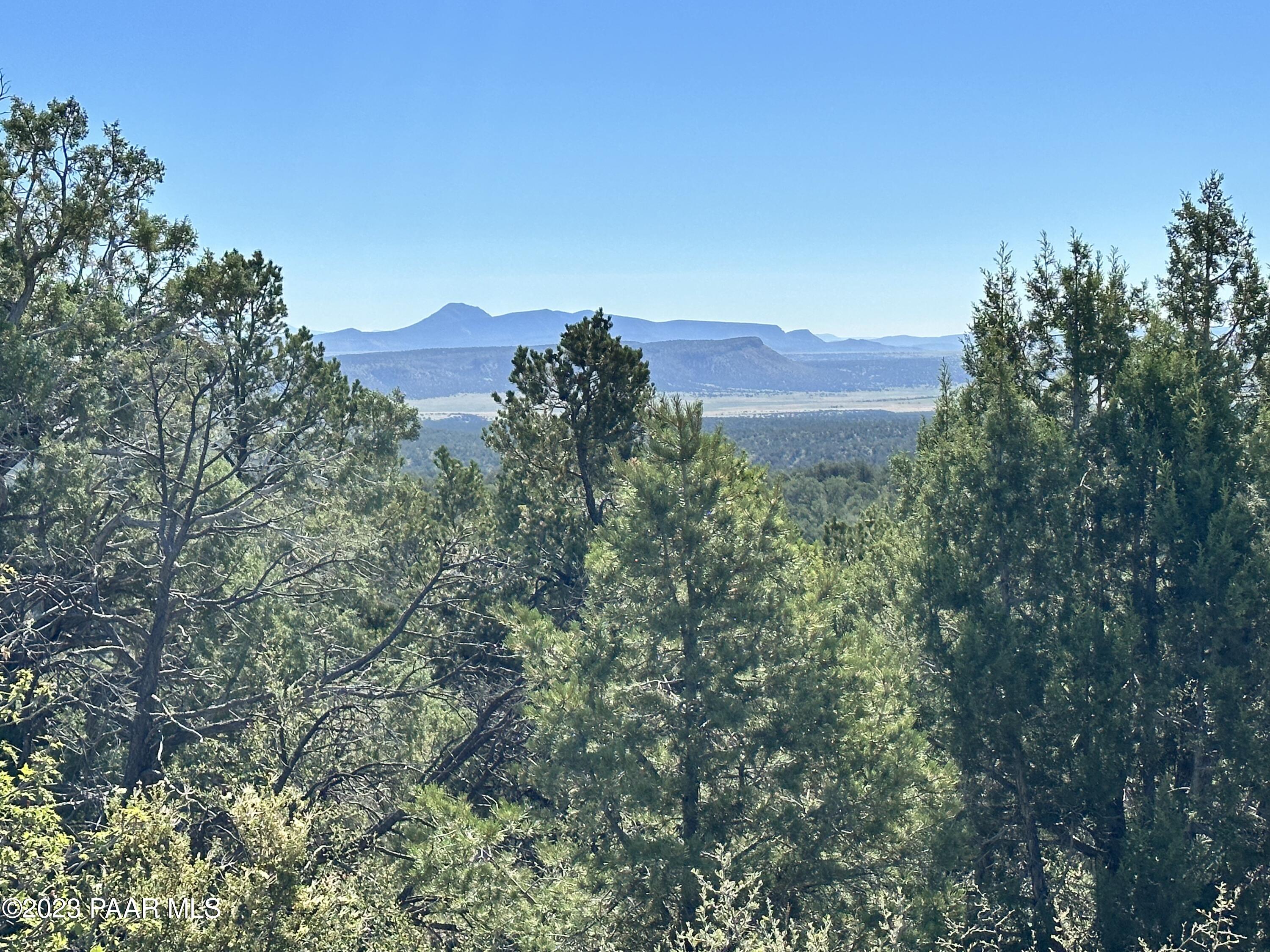50599 North Lightning Ridge Road Seligman, AZ 86337 - Photo 6 of 24 IMG_0763