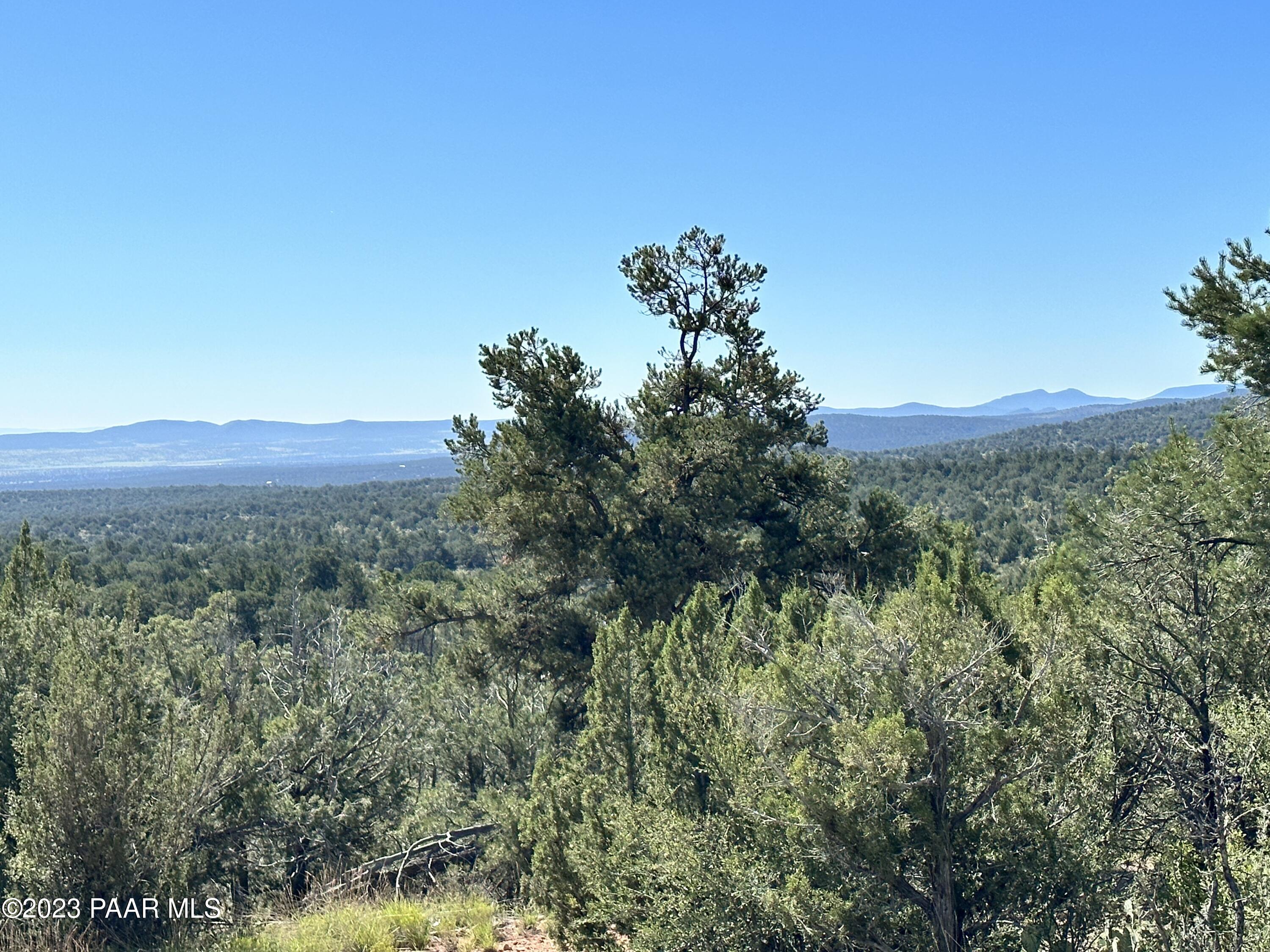 50599 North Lightning Ridge Road Seligman, AZ 86337 - Photo 7 of 24 IMG_0764