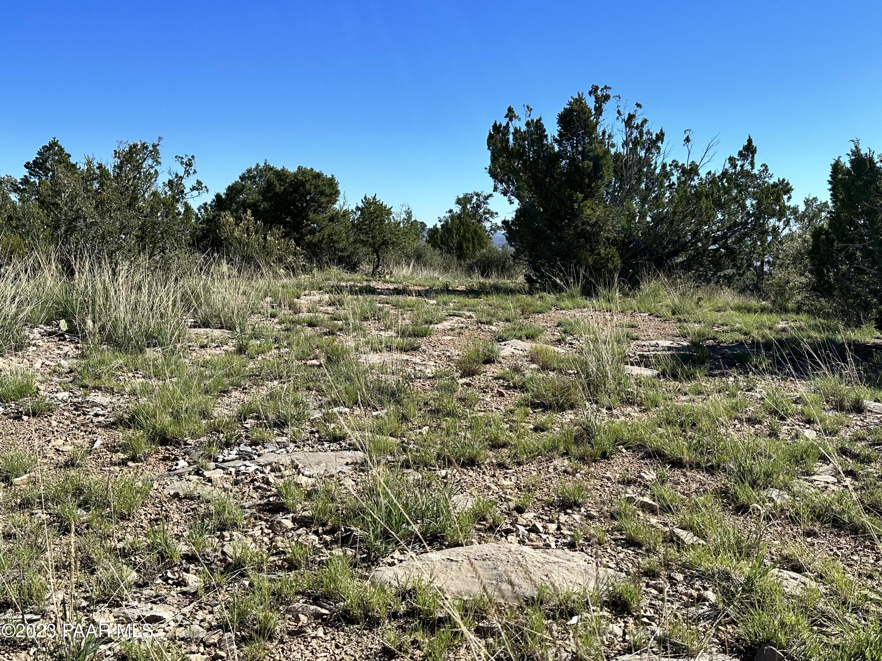 50599 North Lightning Ridge Road Seligman, AZ 86337 - Photo 8 of 24 IMG_0767