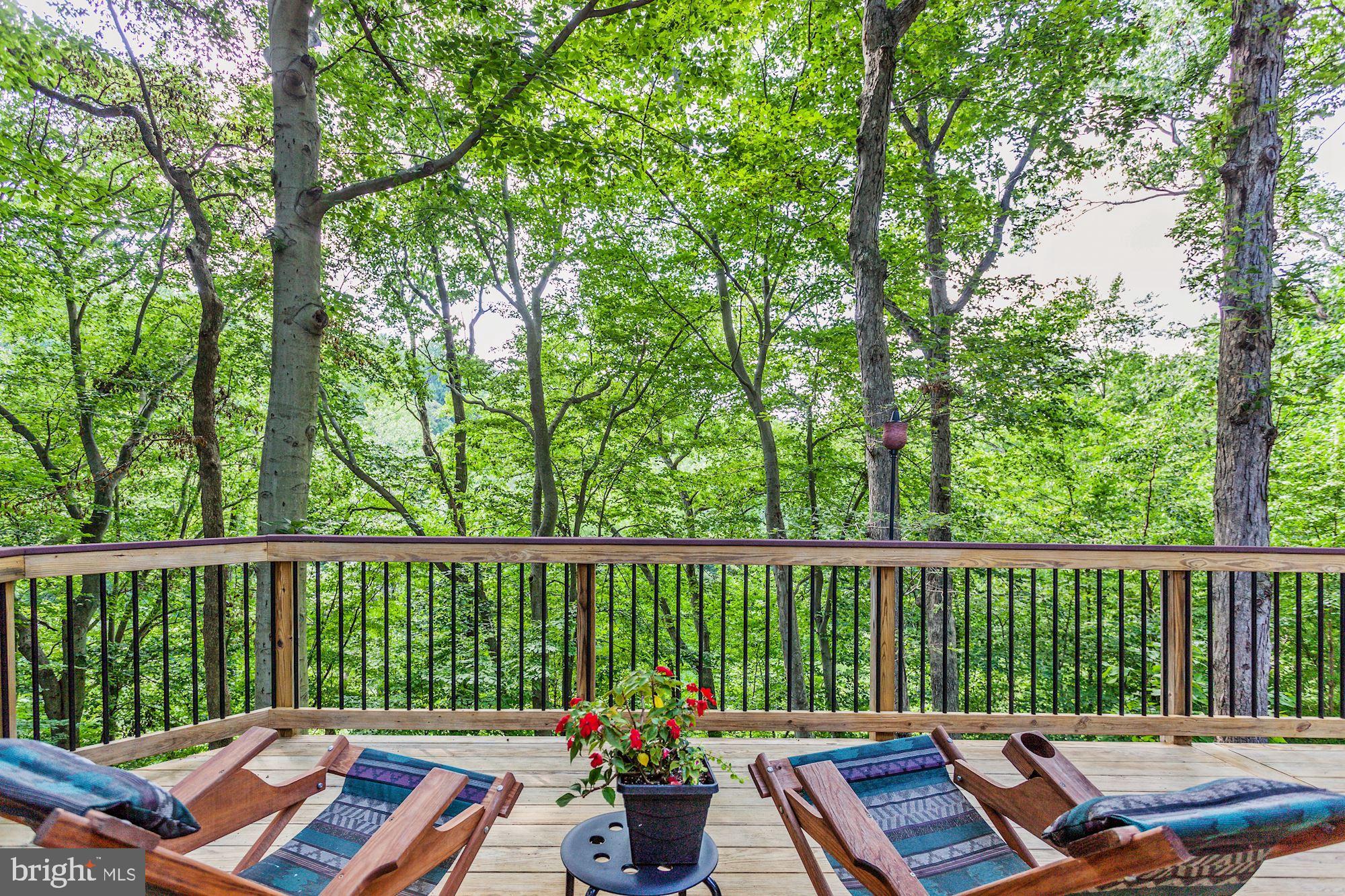 7104 Hadlow Court Springfield, VA 22152 - Photo 42 of 49 Gallery Image 42
