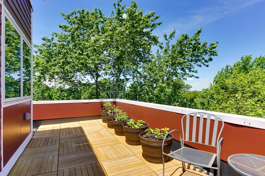 2 Selkirk Road Arlington, MA 02476 - Photo 2 of 30