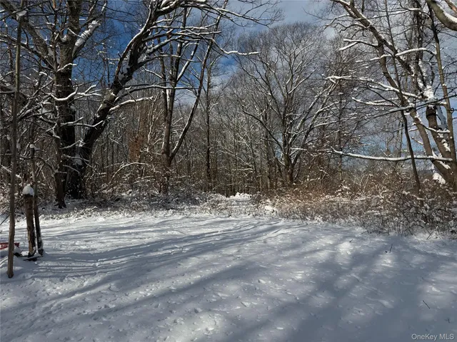 a view of dirt yard with a tree