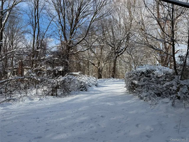 a view of a yard with a tree