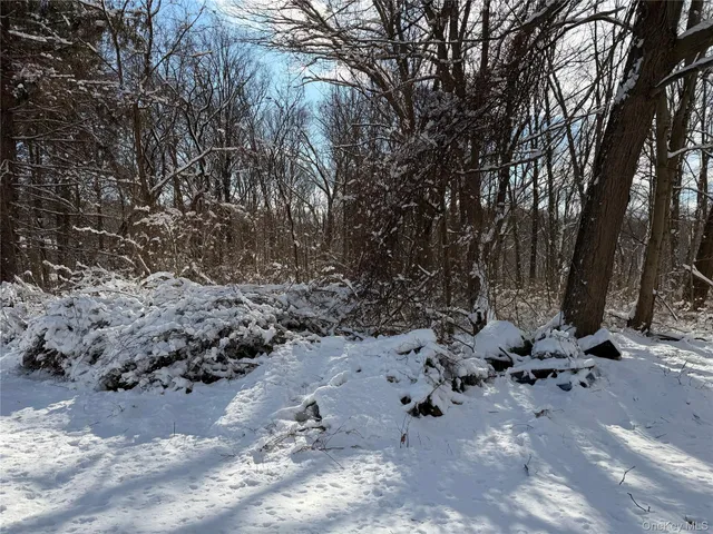 a view of outside area with green space