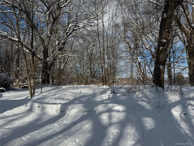 a view of a yard with trees