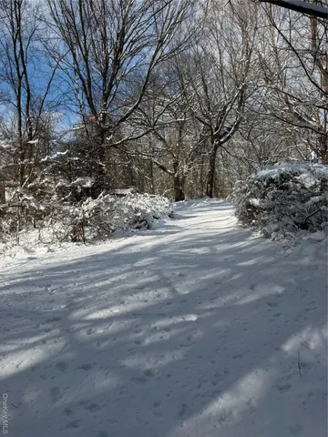 a view of dirt yard with a large tree