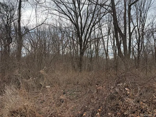 $198,700 | 165 Fairfield Drive, Brewster, NY 10509