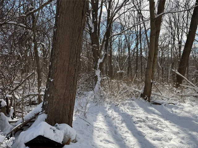 a view of a yard with plants and trees
