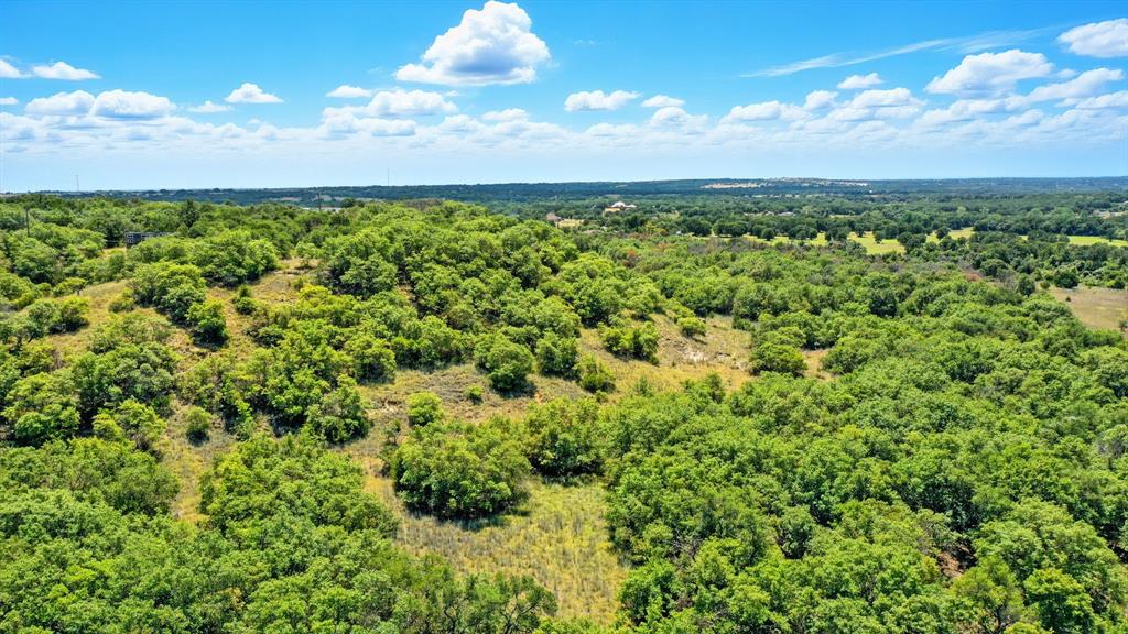 395 Pepper Lane Weatherford, TX 76088 - Photo 4 of 24 Drone / aerial view of a forest