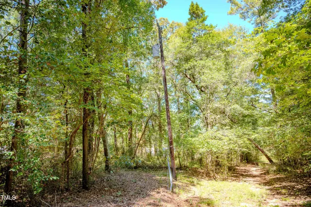 a view of outdoor space and yard