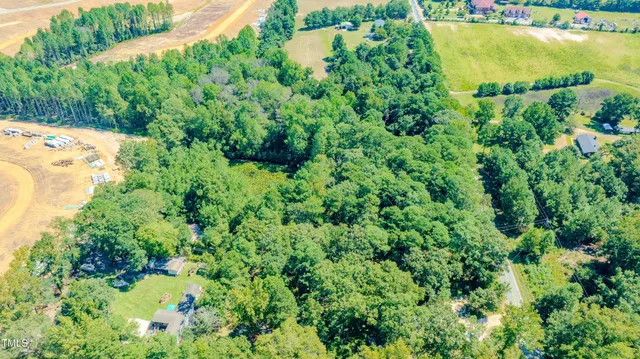 a view of a lake in middle of forest