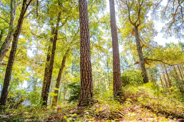 a view of outdoor space and yard