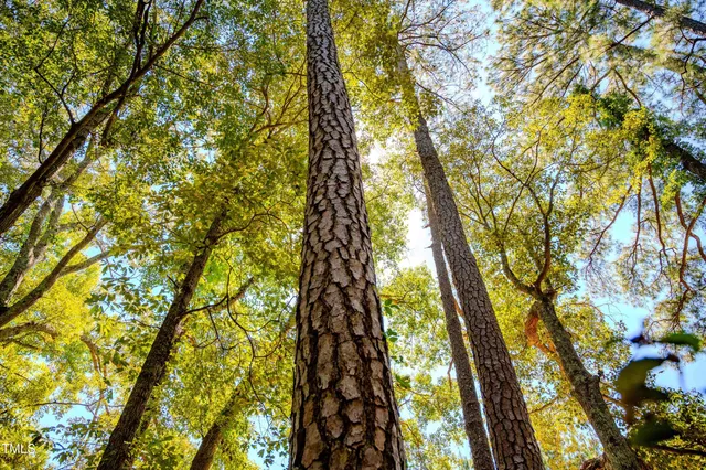 a view of outdoor space with trees