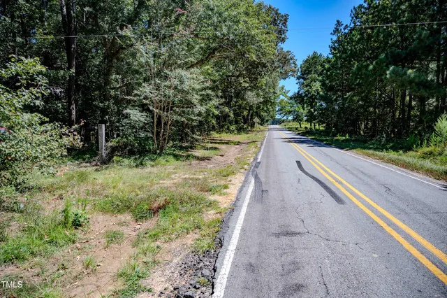 a view of a yard with plants and trees