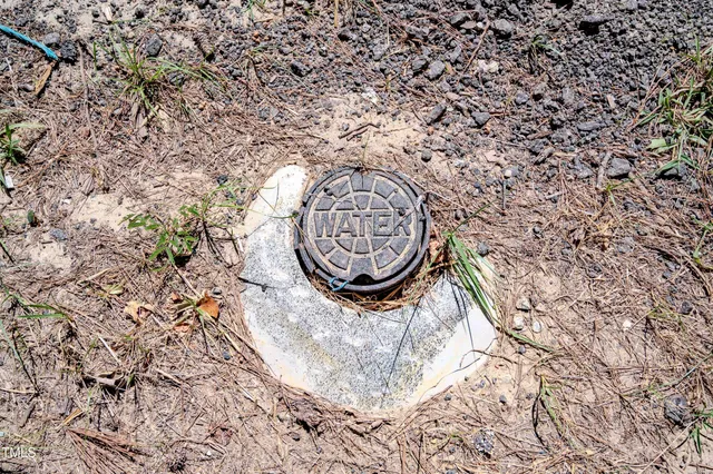 a view of small garden