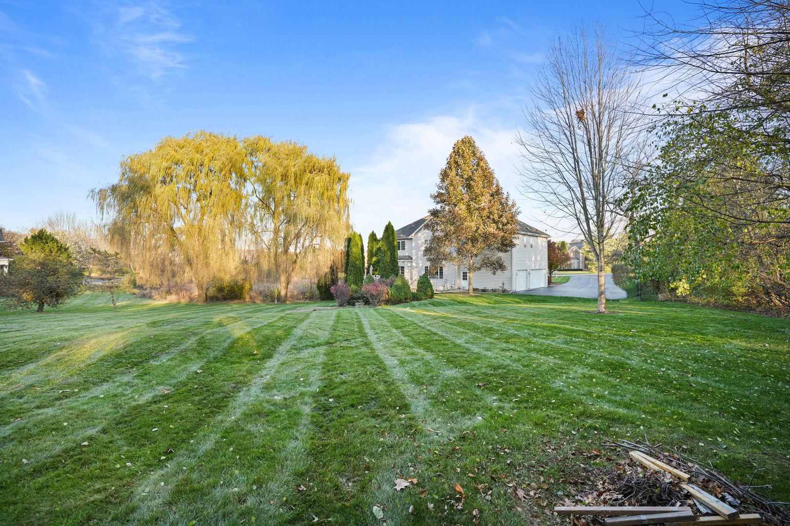 40388 Reed Court Wadsworth, IL 60083 - Photo 28 of 30 a view of a park with large trees