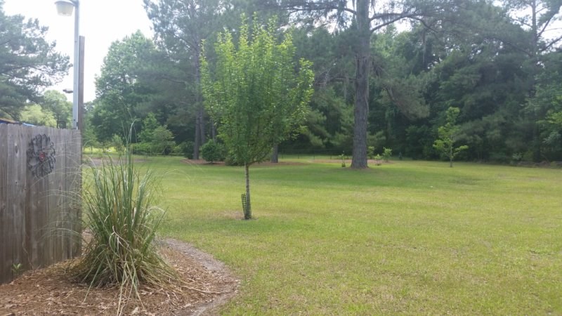 1711 Pisgah Road Perry, FL 32347 - Photo 4 of 5