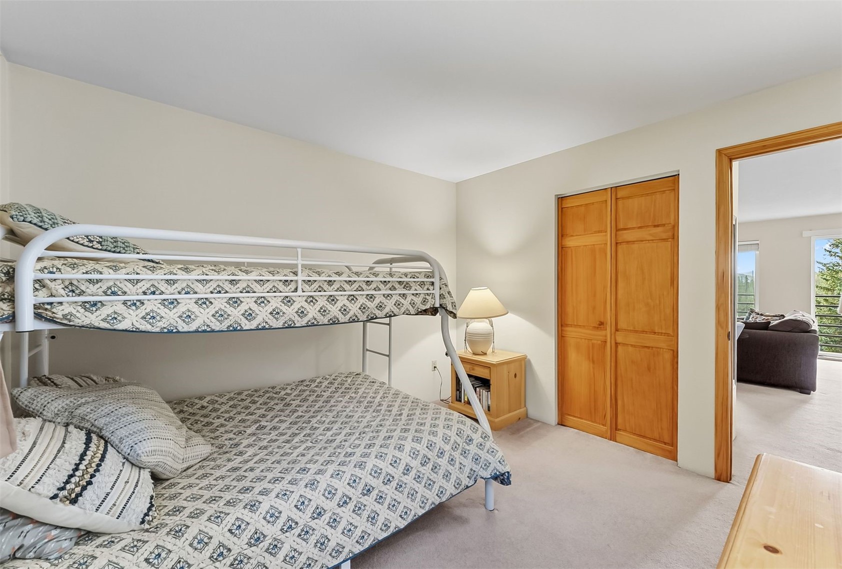 9849 Ryan Gulch Road, Unit 203 Silverthorne, CO 80498 - Photo 22 of 35 Bedroom featuring light carpet and a closet