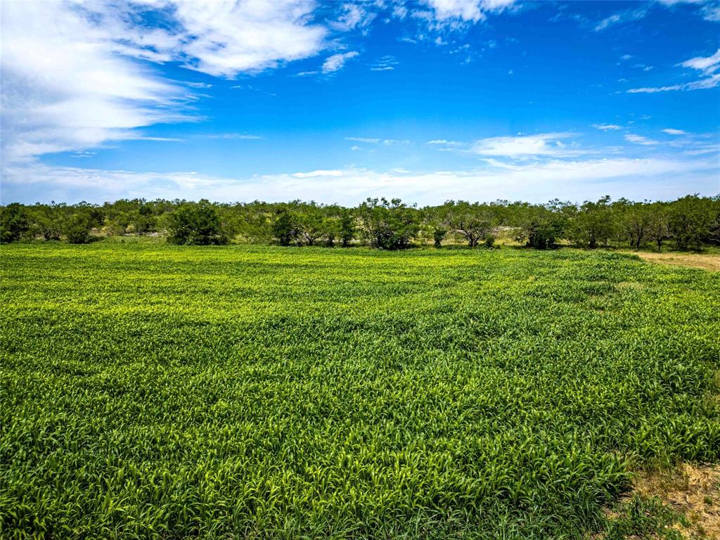 112-ac Tbd Alexander Road Moody, TX 76557 - Photo 15 of 28 a view of an outdoor space and a yard