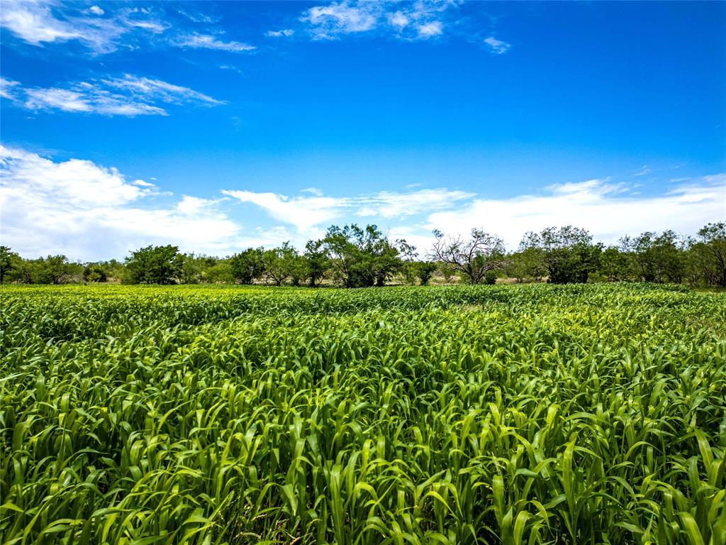 112-ac Tbd Alexander Road Moody, TX 76557 - Photo 16 of 28 a view of a green field