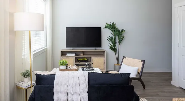 a living room with furniture a flat screen tv and a potted plant