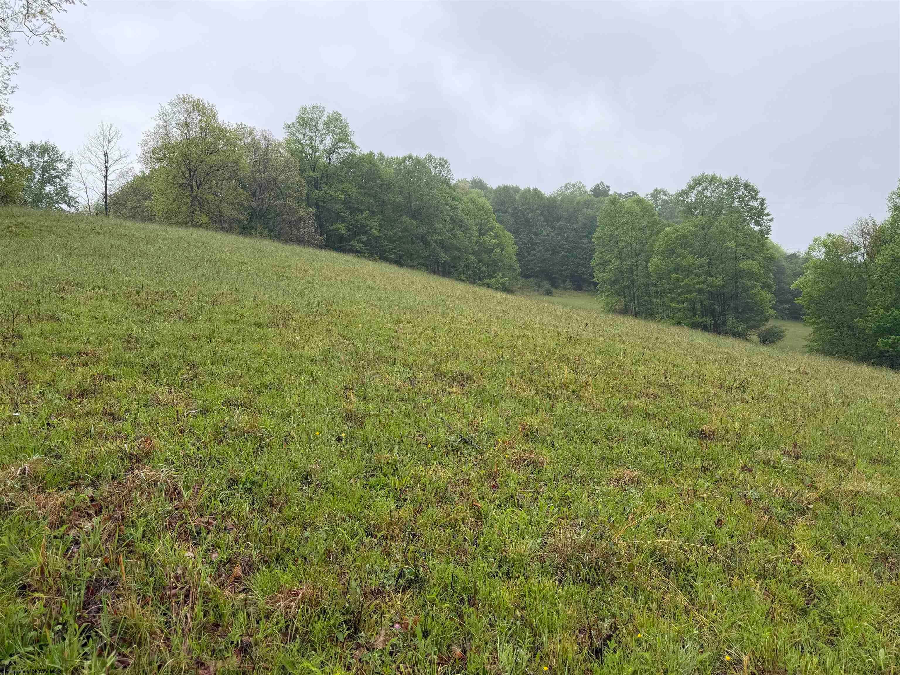 Tbd Old Elkins Road Buckhannon, WV 26201 - Photo 3 of 8 Gallery Image 3