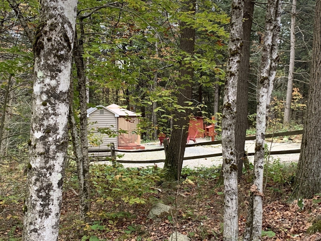 759 North Main Road Otis, MA 01253 - Photo 3 of 41 Gallery Image 3