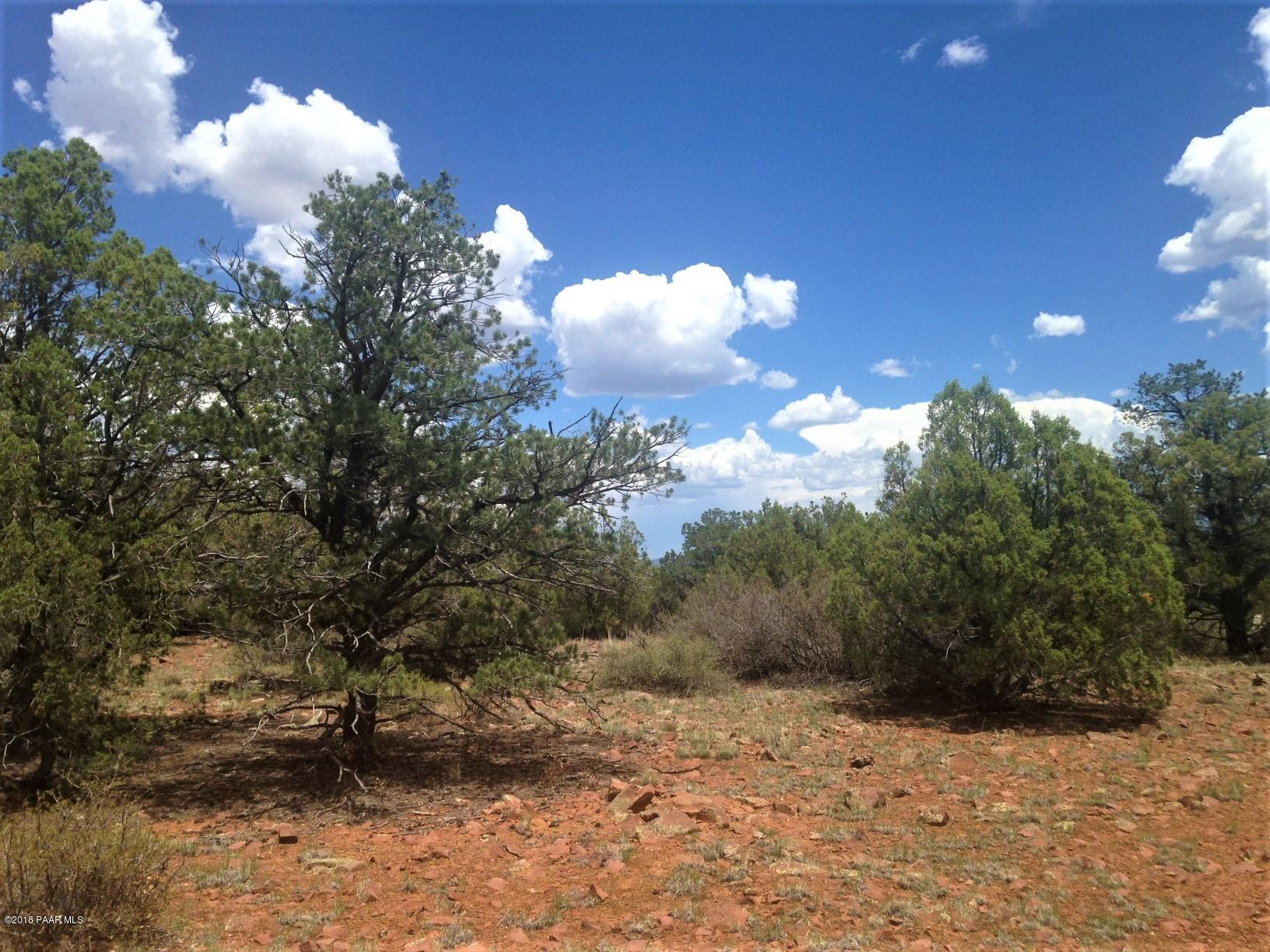 94 Coyote Wash Road Ash Fork, AZ 86320 - Photo 4 of 9 IMG_5314